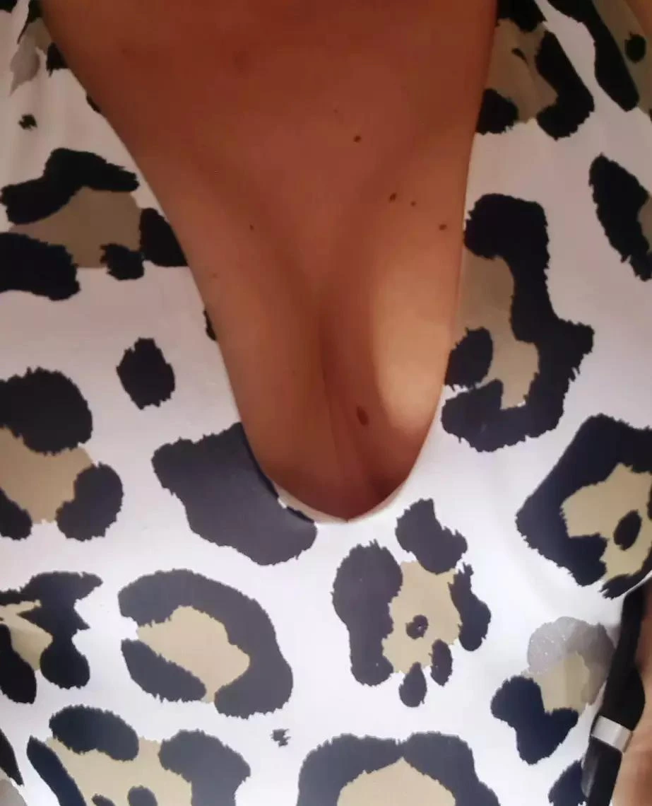 Nikkys Escort
